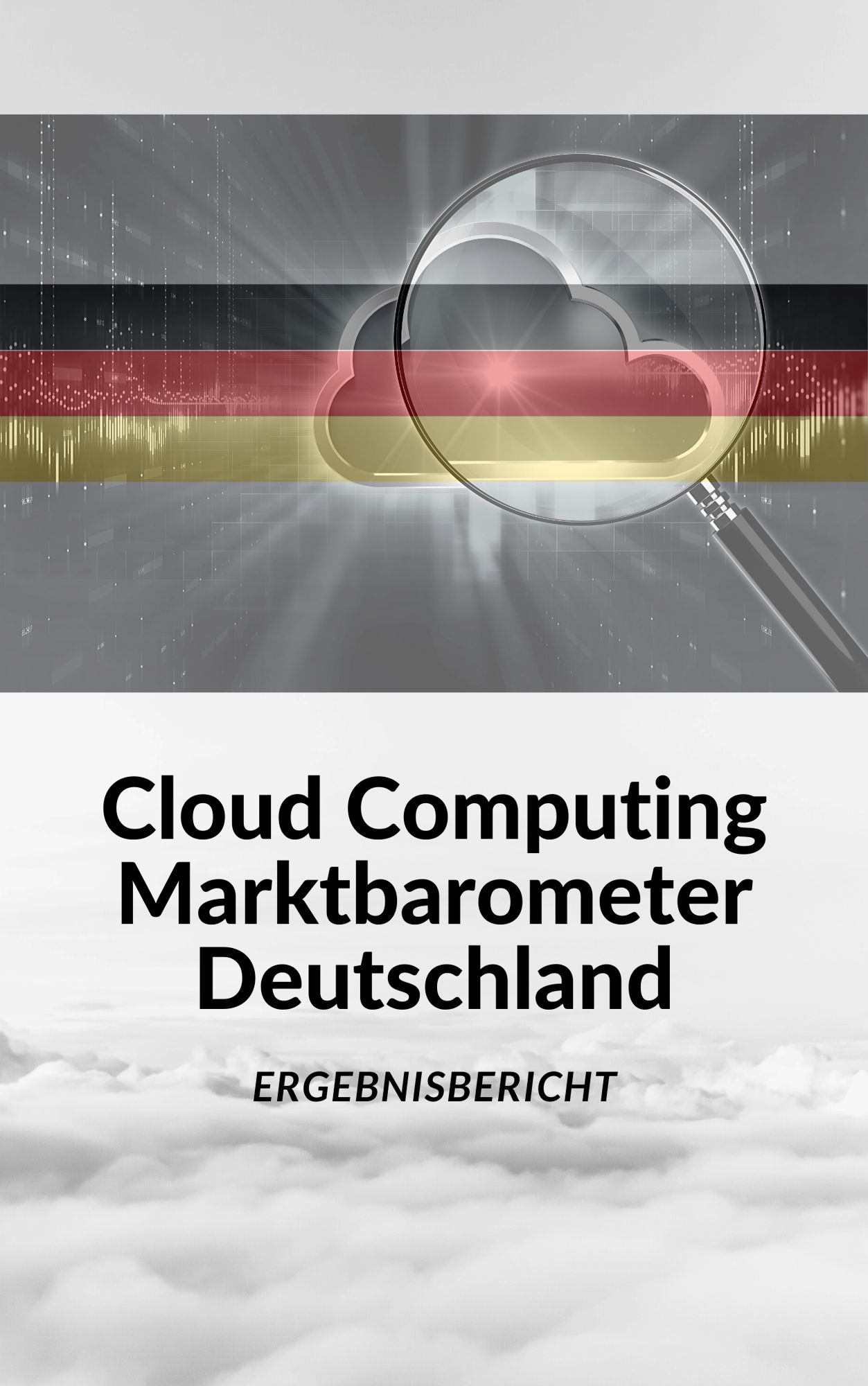 Cloud Computing in Deutschland: Agilität vs. interner Widerstand