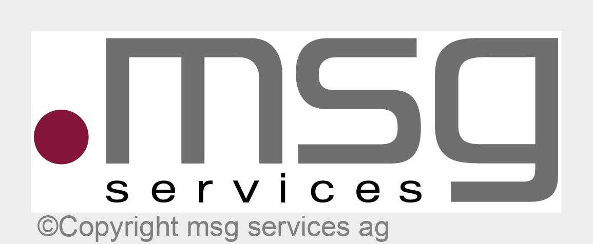 Platinum Plus Solution Advisor: msg services erreicht höchsten Citrix-Partnerstatus