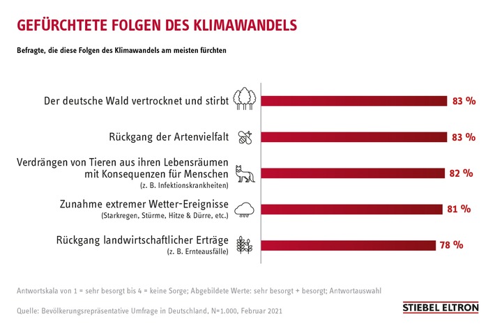 Umfrage: 83% der Deutschen haben Angst, dass der Wald als Klimawandel-Folge stirbt