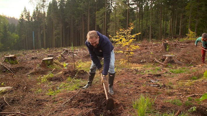 „Jeder kann einen Beitrag leisten, ob im Kleinen oder im Großen!“ Steven Gätjen in „Operation Wald – So retten wir unseren Planeten“ am Donnerstag, 18. März 2021, um 22:55 Uhr