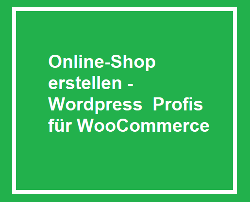 Online Shop erstellen lassen